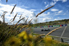 GP OLANDA, Andrea Kimi Antonelli (ITA) Mercedes AMG F1 W16.

29.08.2025. Formula 1 World Championship, Rd 15, Dutch Grand Prix, Zandvoort, Netherlands, Practice Day.

- www.xpbimages.com, EMail: requests@xpbimages.com © Copyright: Price	/ XPB Images