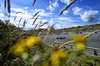 GP OLANDA, Franco Colapinto (ARG) Alpine F1 Team A525.

29.08.2025. Formula 1 World Championship, Rd 15, Dutch Grand Prix, Zandvoort, Netherlands, Practice Day.

- www.xpbimages.com, EMail: requests@xpbimages.com © Copyright: Price	/ XPB Images
