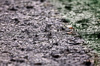 GP SINGAPORE, Circuit Atmosfera - rain drops.

02.10.2025. Formula 1 World Championship, Rd 18, Singapore Grand Prix, Marina Bay Street Circuit, Singapore, Preparation Day.

 - www.xpbimages.com, EMail: requests@xpbimages.com © Copyright: Rew / XPB Images