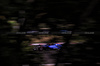 GP UNGHERIA, Carlos Sainz (ESP) Atlassian Williams Racing FW47.

02.08.2025. Formula 1 World Championship, Rd 14, Hungarian Grand Prix, Budapest, Hungary, Qualifiche Day.

- www.xpbimages.com, EMail: requests@xpbimages.com © Copyright: Bearne / XPB Images