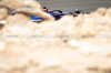 TEST BAHRAIN, Alexander Albon (THA) Atlassian Williams Racing FW47.

26.02.2025. Formula 1 Testing, Sakhir, Bahrain, Day One.

- www.xpbimages.com, EMail: requests@xpbimages.com © Copyright: Bearne / XPB Images