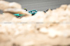 TEST BAHRAIN, Fernando Alonso (ESP) Aston Martin F1 Team AMR25.

26.02.2025. Formula 1 Testing, Sakhir, Bahrain, Day One.

- www.xpbimages.com, EMail: requests@xpbimages.com © Copyright: Bearne / XPB Images