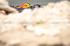TEST BAHRAIN, Liam Lawson (NZL) Red Bull Racing RB21.

26.02.2025. Formula 1 Testing, Sakhir, Bahrain, Day One.

- www.xpbimages.com, EMail: requests@xpbimages.com © Copyright: Bearne / XPB Images