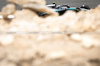 TEST BAHRAIN, Andrea Kimi Antonelli (ITA) Mercedes AMG F1 W16.

26.02.2025. Formula 1 Testing, Sakhir, Bahrain, Day One.

- www.xpbimages.com, EMail: requests@xpbimages.com © Copyright: Bearne / XPB Images