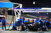 TEST BAHRAIN, Pierre Gasly (FRA) Alpine F1 Team A525 practices a pit stop.

26.02.2025. Formula 1 Testing, Sakhir, Bahrain, Day One.

- www.xpbimages.com, EMail: requests@xpbimages.com © Copyright: Batchelor / XPB Images