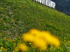GP AUSTRIA