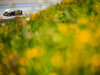 GP AUSTRIA