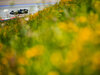 GP AUSTRIA