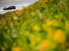 GP AUSTRIA