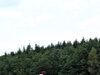 GP BELGIO