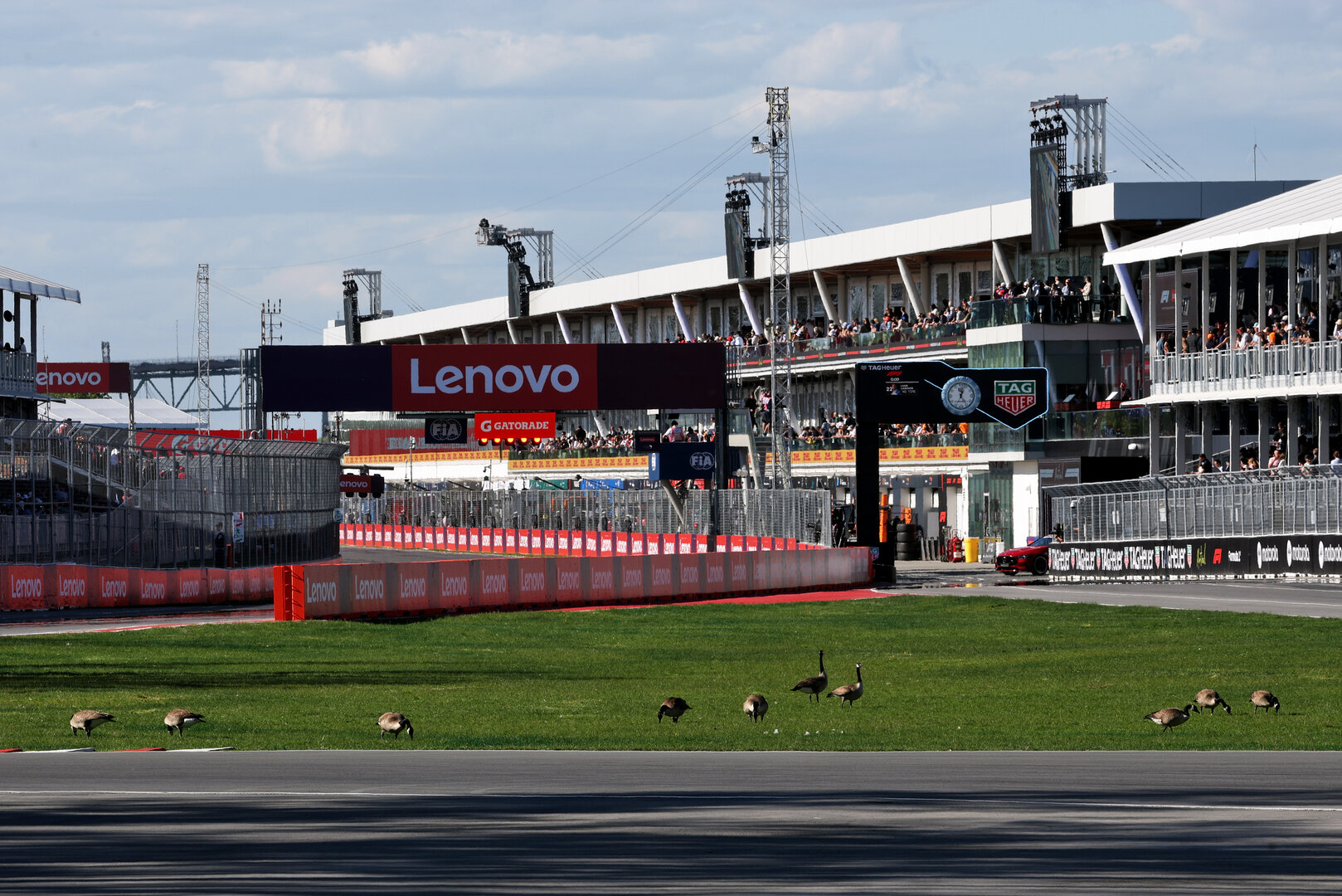 GP CANADA, Circuit Atmosfera - geese trackside.
22.05.2026. Formula 1 World Championship, Rd 5, Canadian Grand Prix, Montreal, Canada, Sprint Qualifiche Day.
- www.xpbimages.com, EMail: requests@xpbimages.com © Copyright: Charniaux / XPB Images