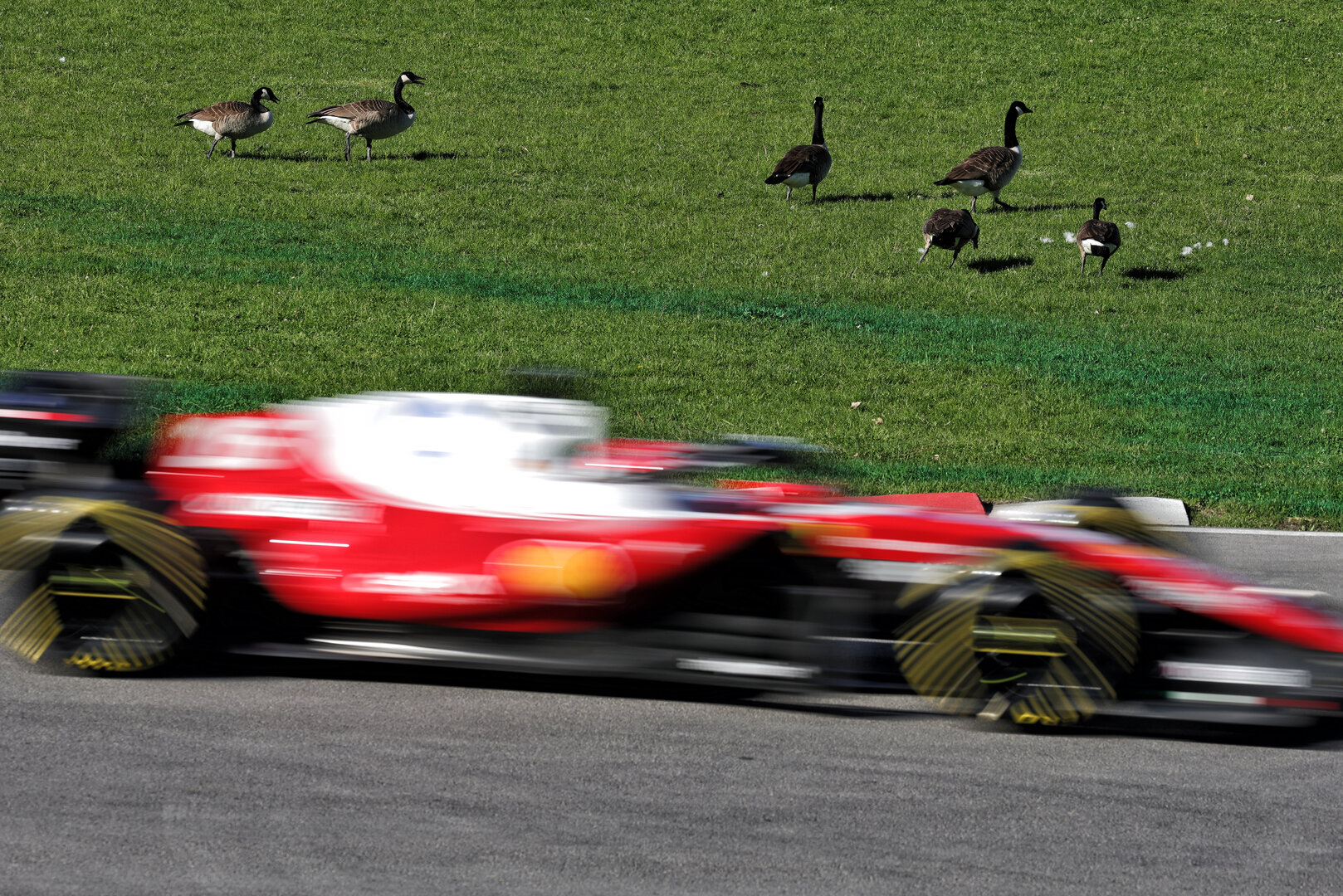 GP CANADA, Charles Leclerc (MON) Ferrari SF-26.
22.05.2026. Formula 1 World Championship, Rd 5, Canadian Grand Prix, Montreal, Canada, Sprint Qualifiche Day.
- www.xpbimages.com, EMail: requests@xpbimages.com © Copyright: Moy / XPB Images