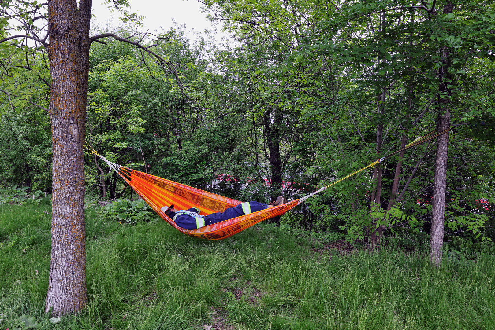 GP CANADA, Circuit Atmosfera - a marshal in a hammock.
23.05.2026. Formula 1 World Championship, Rd 5, Canadian Grand Prix, Montreal, Canada, Sprint e Qualifiche Day.
- www.xpbimages.com, EMail: requests@xpbimages.com © Copyright: Moy / XPB Images
