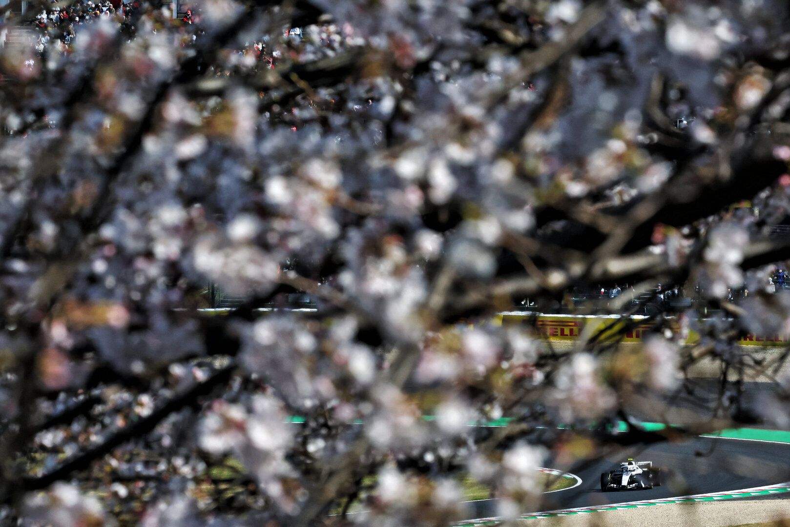 GP GIAPPONE, Valtteri Bottas (FIN) Cadillac Formula 1 Team MAC-26.
27.03.2026. Formula 1 World Championship, Rd 3, Japanese Grand Prix, Suzuka, Japan, Practice Day.
- www.xpbimages.com, EMail: requests@xpbimages.com © Copyright: Bearne / XPB Images