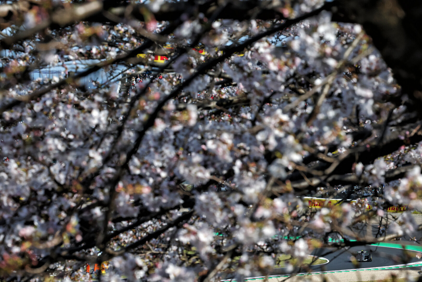 GP GIAPPONE, Andrea Kimi Antonelli (ITA) Mercedes AMG Formula One Team W17.
27.03.2026. Formula 1 World Championship, Rd 3, Japanese Grand Prix, Suzuka, Japan, Practice Day.
- www.xpbimages.com, EMail: requests@xpbimages.com © Copyright: Bearne / XPB Images