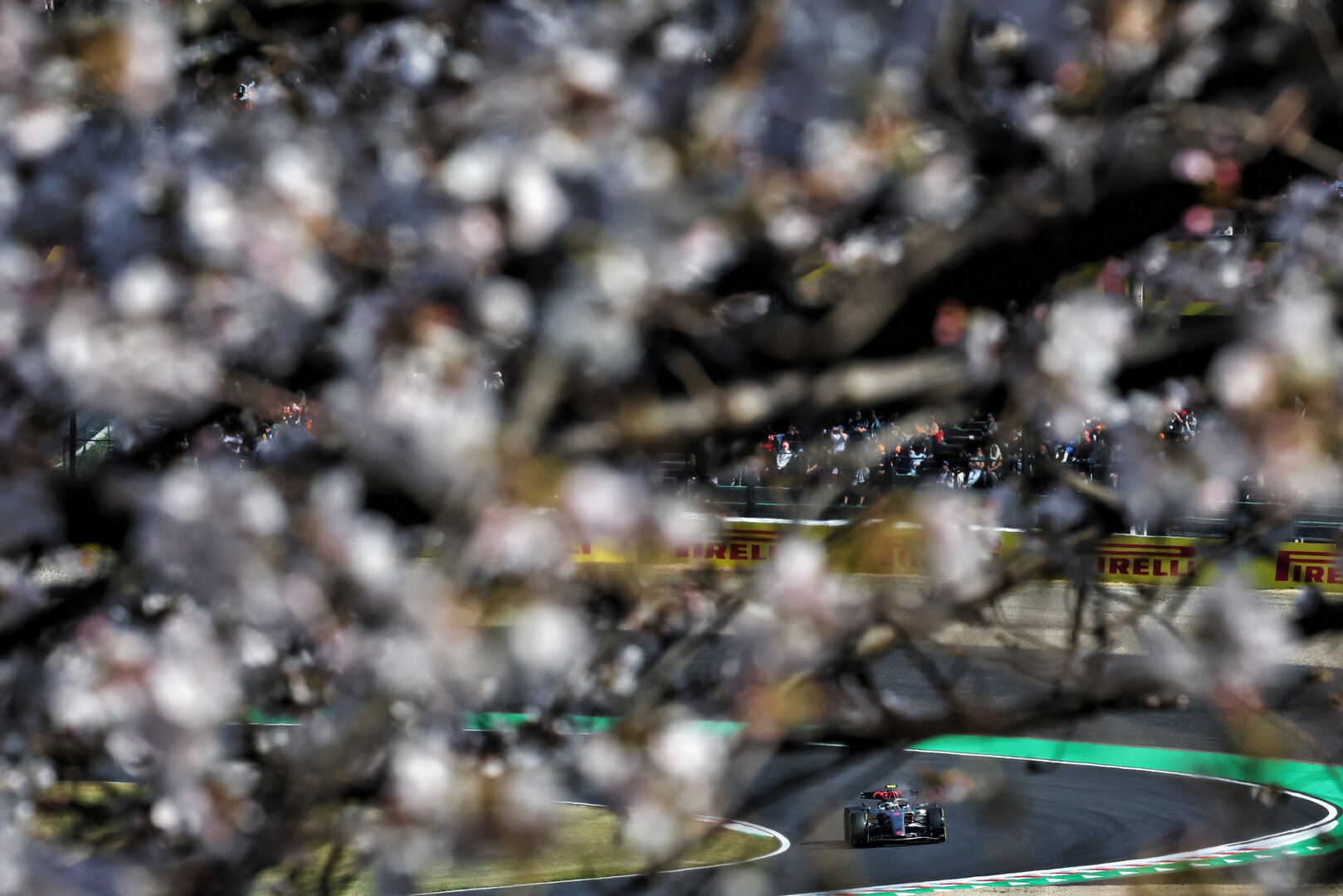 GP GIAPPONE, Gabriel Bortoleto (BRA) Audi F1 Team R26.
27.03.2026. Formula 1 World Championship, Rd 3, Japanese Grand Prix, Suzuka, Japan, Practice Day.
- www.xpbimages.com, EMail: requests@xpbimages.com © Copyright: Bearne / XPB Images