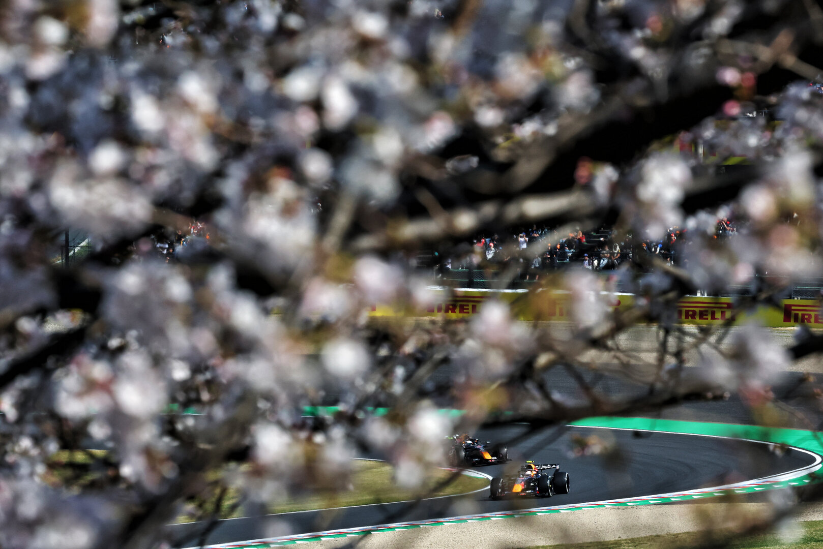 GP GIAPPONE, Isack Hadjar (FRA) Red Bull Racing RB22.
27.03.2026. Formula 1 World Championship, Rd 3, Japanese Grand Prix, Suzuka, Japan, Practice Day.
- www.xpbimages.com, EMail: requests@xpbimages.com © Copyright: Bearne / XPB Images
