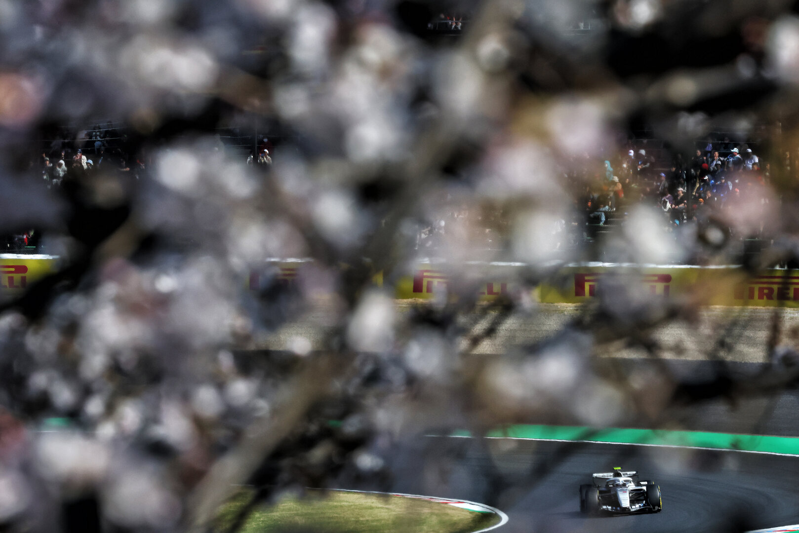 GP GIAPPONE, Valtteri Bottas (FIN) Cadillac Formula 1 Team MAC-26.
27.03.2026. Formula 1 World Championship, Rd 3, Japanese Grand Prix, Suzuka, Japan, Practice Day.
- www.xpbimages.com, EMail: requests@xpbimages.com © Copyright: Bearne / XPB Images