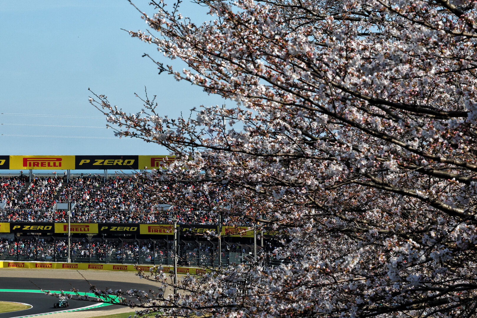 GP GIAPPONE, Fernando Alonso (ESP) Aston Martin F1 Team AMR26.
27.03.2026. Formula 1 World Championship, Rd 3, Japanese Grand Prix, Suzuka, Japan, Practice Day.
- www.xpbimages.com, EMail: requests@xpbimages.com © Copyright: Bearne / XPB Images