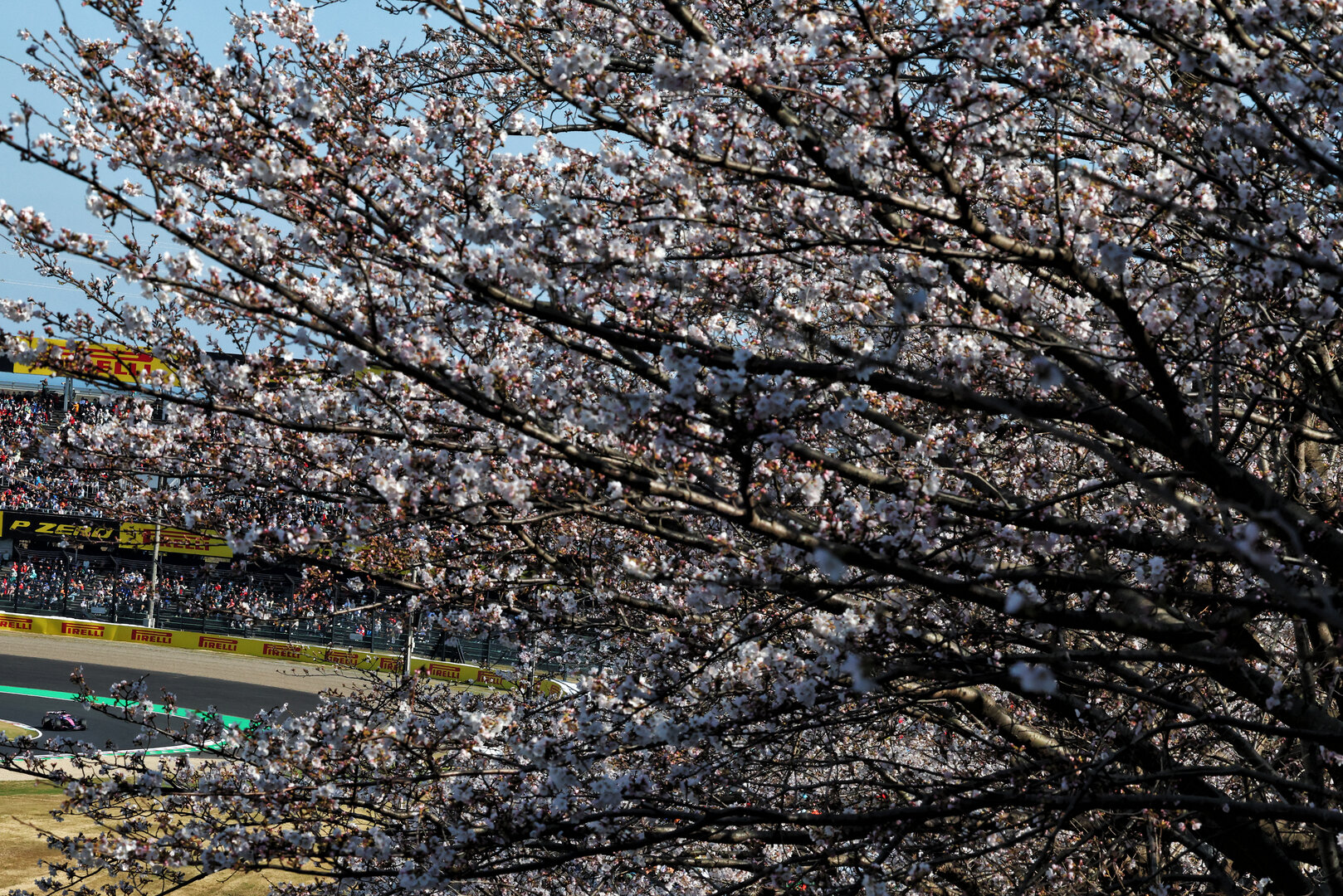 GP GIAPPONE, Pierre Gasly (FRA) Alpine F1 Team A526.
27.03.2026. Formula 1 World Championship, Rd 3, Japanese Grand Prix, Suzuka, Japan, Practice Day.
- www.xpbimages.com, EMail: requests@xpbimages.com © Copyright: Bearne / XPB Images