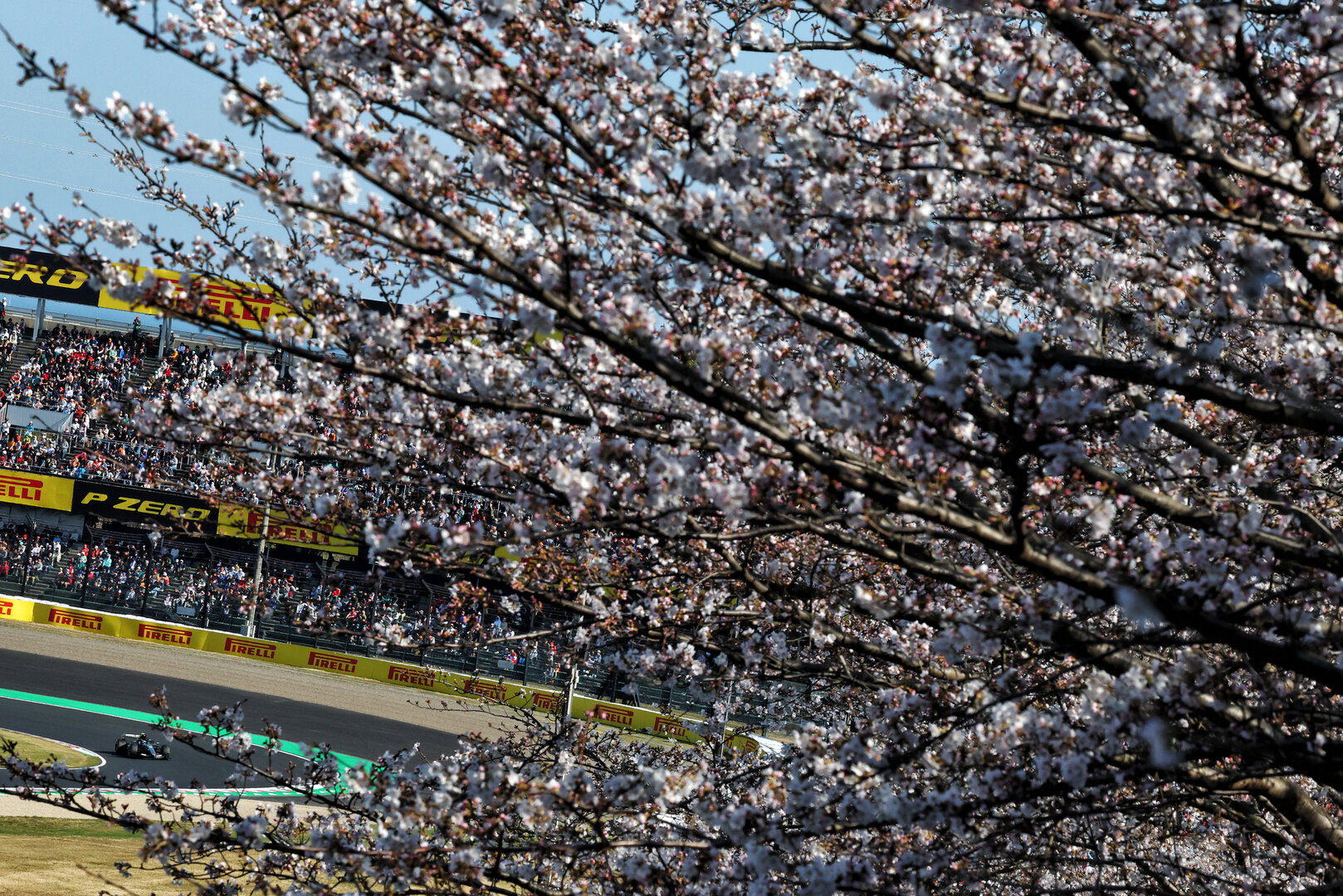 GP GIAPPONE, Andrea Kimi Antonelli (ITA) Mercedes AMG Formula One Team W17.
27.03.2026. Formula 1 World Championship, Rd 3, Japanese Grand Prix, Suzuka, Japan, Practice Day.
- www.xpbimages.com, EMail: requests@xpbimages.com © Copyright: Bearne / XPB Images