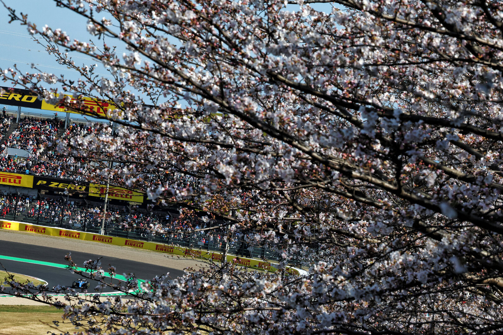 GP GIAPPONE, Alexander Albon (THA) Williams F1 Team FW48.
27.03.2026. Formula 1 World Championship, Rd 3, Japanese Grand Prix, Suzuka, Japan, Practice Day.
- www.xpbimages.com, EMail: requests@xpbimages.com © Copyright: Bearne / XPB Images