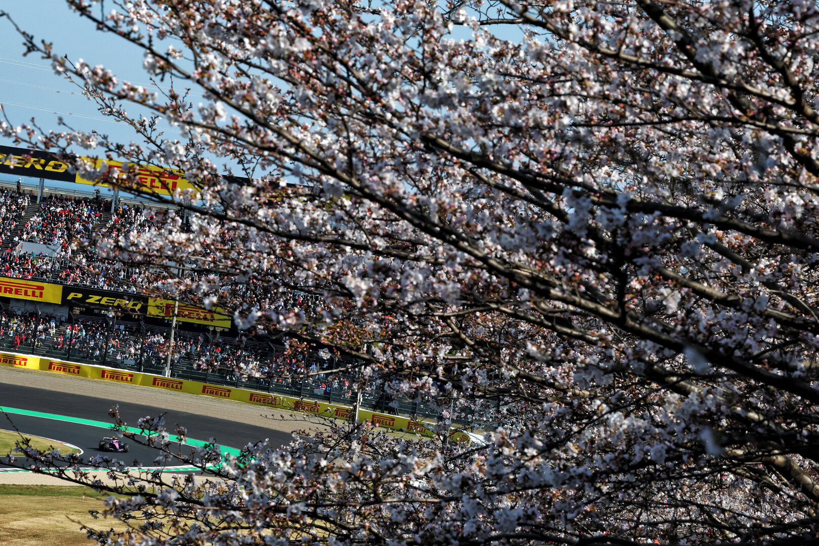 GP GIAPPONE, Franco Colapinto (ARG) Alpine F1 Team A526.
27.03.2026. Formula 1 World Championship, Rd 3, Japanese Grand Prix, Suzuka, Japan, Practice Day.
- www.xpbimages.com, EMail: requests@xpbimages.com © Copyright: Bearne / XPB Images