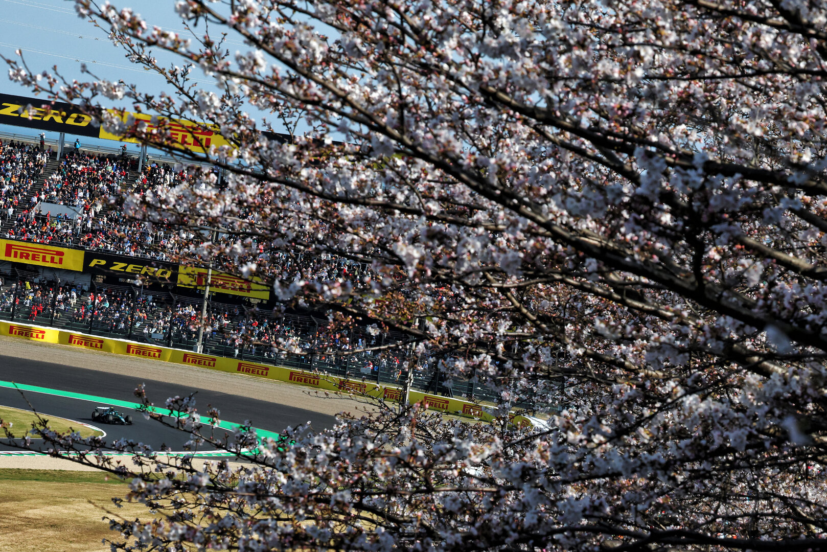 GP GIAPPONE, Fernando Alonso (ESP) Aston Martin F1 Team AMR26.
27.03.2026. Formula 1 World Championship, Rd 3, Japanese Grand Prix, Suzuka, Japan, Practice Day.
- www.xpbimages.com, EMail: requests@xpbimages.com © Copyright: Bearne / XPB Images