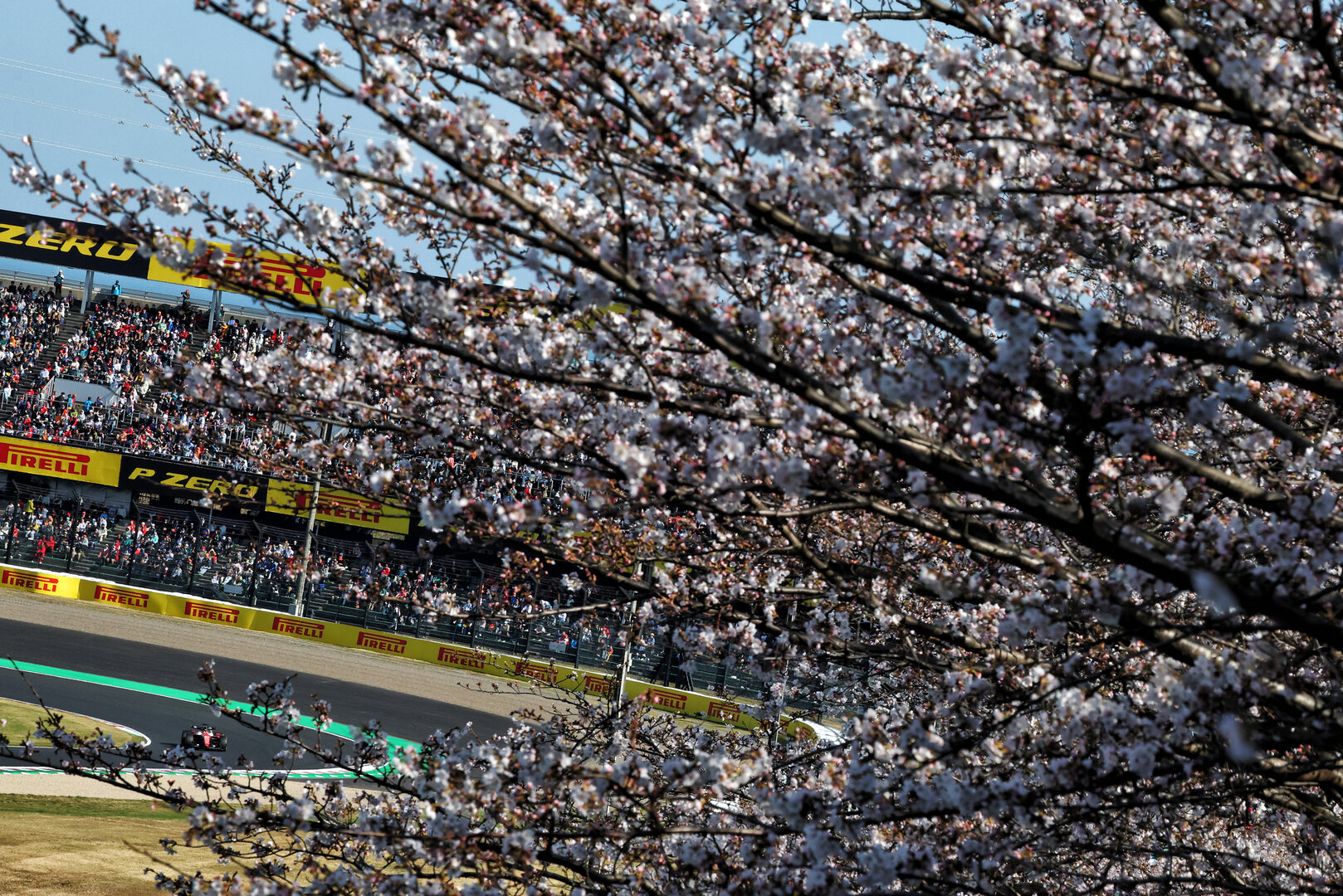GP GIAPPONE, Charles Leclerc (MON) Ferrari SF-26.
27.03.2026. Formula 1 World Championship, Rd 3, Japanese Grand Prix, Suzuka, Japan, Practice Day.
- www.xpbimages.com, EMail: requests@xpbimages.com © Copyright: Bearne / XPB Images