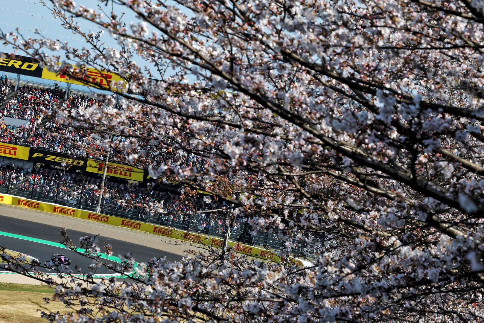 GP GIAPPONE, Pierre Gasly (FRA) Alpine F1 Team A526.
27.03.2026. Formula 1 World Championship, Rd 3, Japanese Grand Prix, Suzuka, Japan, Practice Day.
- www.xpbimages.com, EMail: requests@xpbimages.com © Copyright: Bearne / XPB Images