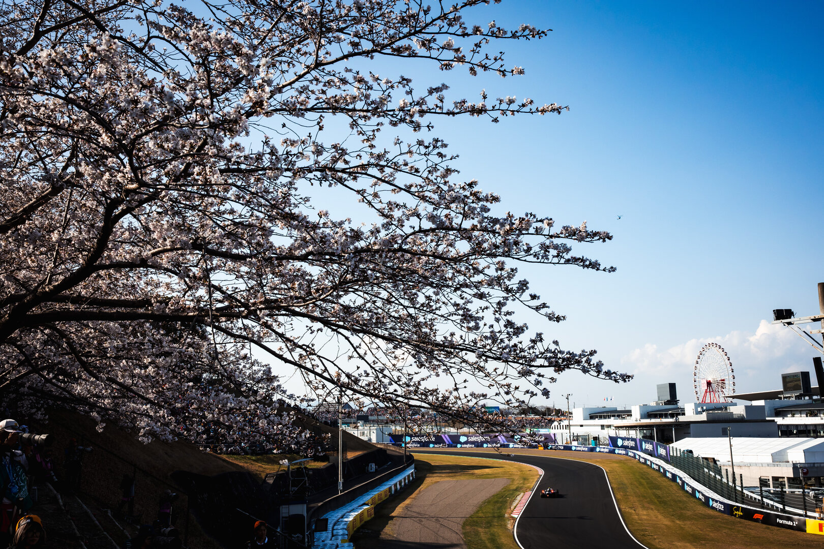 GP GIAPPONE, Valtteri Bottas (FIN) Cadillac Formula 1 Team MAC-26.
27.03.2026. Formula 1 World Championship, Rd 3, Japanese Grand Prix, Suzuka, Japan, Practice Day.
- www.xpbimages.com, EMail: requests@xpbimages.com © Copyright: Bearne / XPB Images