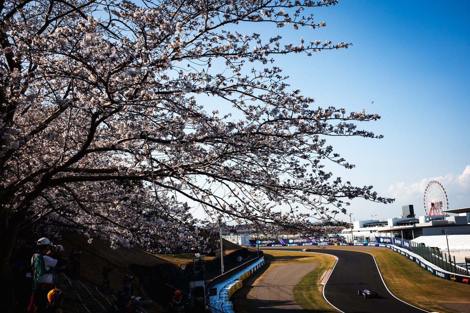 GP GIAPPONE, Pierre Gasly (FRA) Alpine F1 Team A526.
27.03.2026. Formula 1 World Championship, Rd 3, Japanese Grand Prix, Suzuka, Japan, Practice Day.
- www.xpbimages.com, EMail: requests@xpbimages.com © Copyright: Bearne / XPB Images