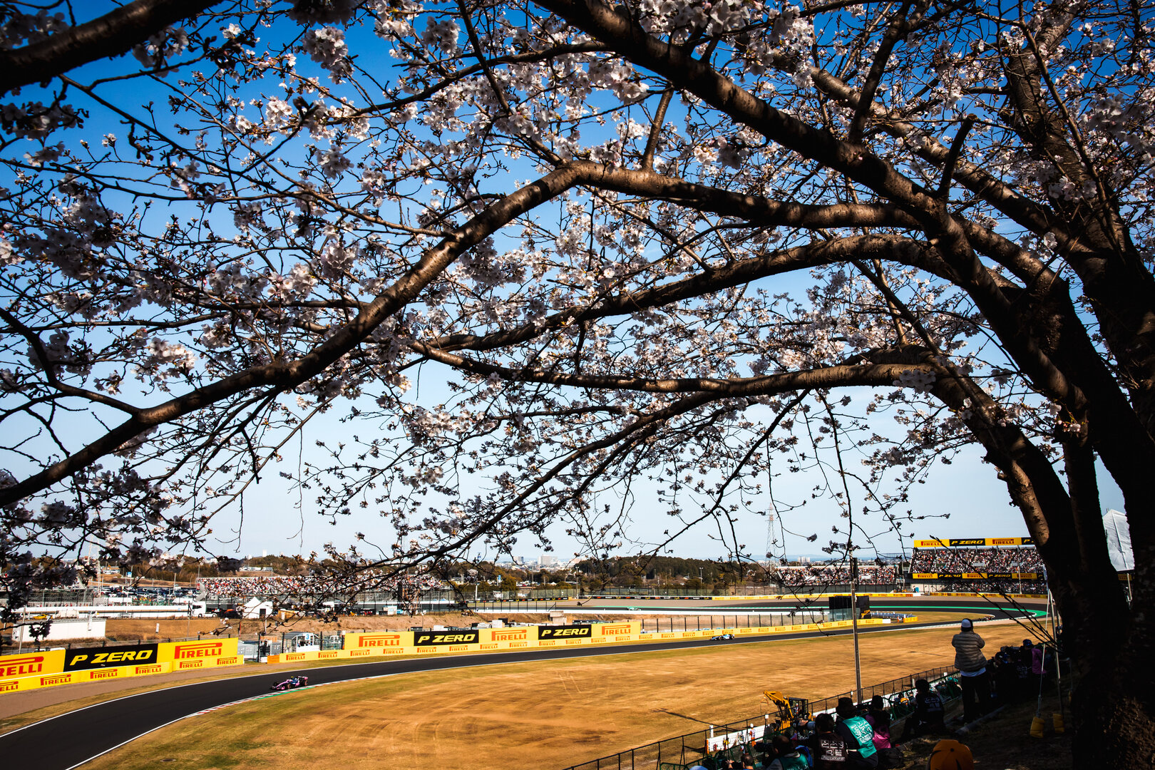 GP GIAPPONE, Franco Colapinto (ARG) Alpine F1 Team A526.
27.03.2026. Formula 1 World Championship, Rd 3, Japanese Grand Prix, Suzuka, Japan, Practice Day.
- www.xpbimages.com, EMail: requests@xpbimages.com © Copyright: Bearne / XPB Images