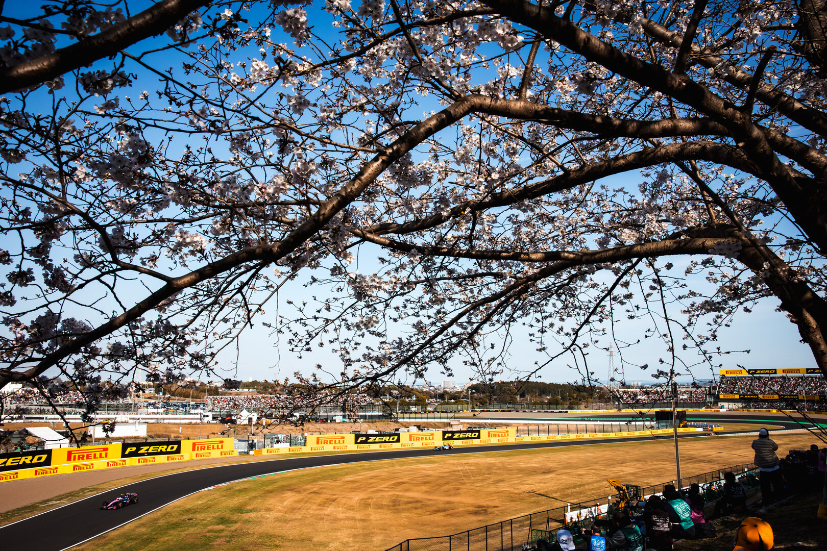 GP GIAPPONE, Franco Colapinto (ARG) Alpine F1 Team A526.
27.03.2026. Formula 1 World Championship, Rd 3, Japanese Grand Prix, Suzuka, Japan, Practice Day.
- www.xpbimages.com, EMail: requests@xpbimages.com © Copyright: Bearne / XPB Images