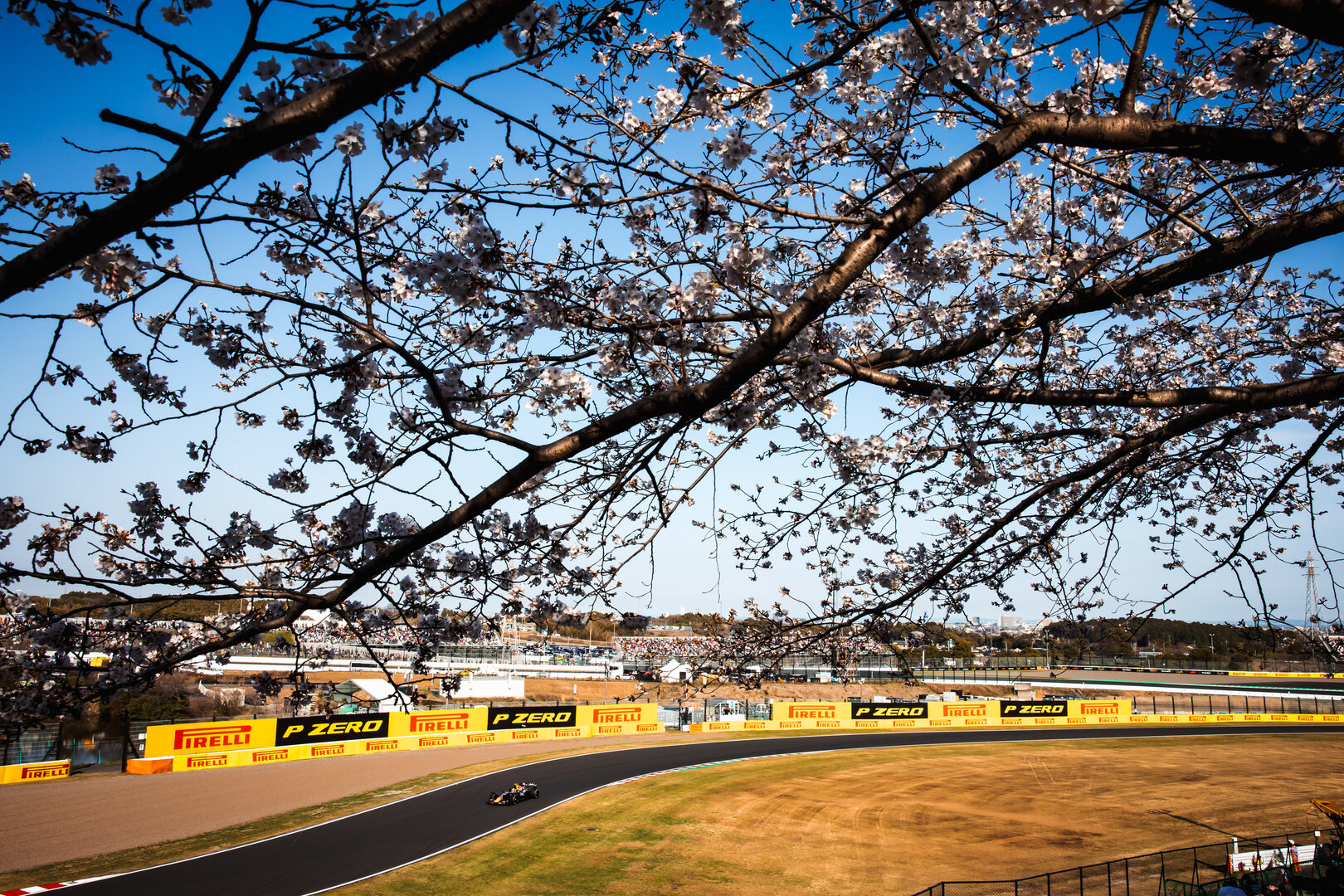 GP GIAPPONE, Isack Hadjar (FRA) Red Bull Racing RB22.
27.03.2026. Formula 1 World Championship, Rd 3, Japanese Grand Prix, Suzuka, Japan, Practice Day.
- www.xpbimages.com, EMail: requests@xpbimages.com © Copyright: Bearne / XPB Images