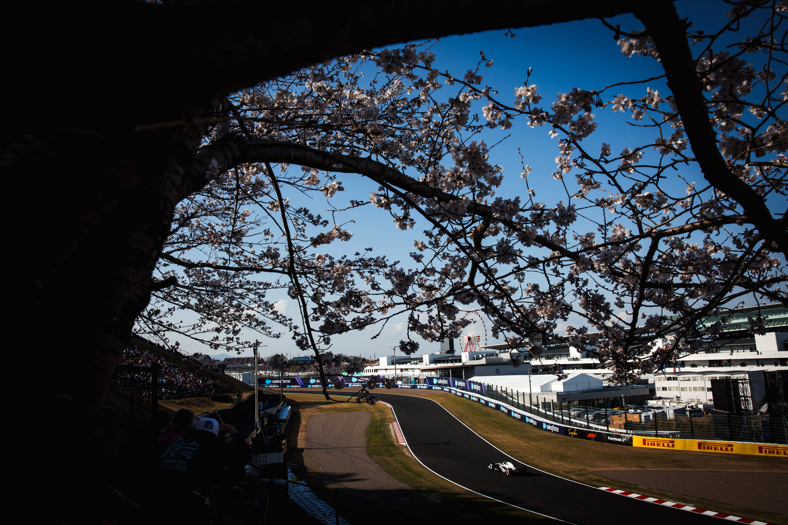 GP GIAPPONE, Valtteri Bottas (FIN) Cadillac Formula 1 Team MAC-26.
27.03.2026. Formula 1 World Championship, Rd 3, Japanese Grand Prix, Suzuka, Japan, Practice Day.
- www.xpbimages.com, EMail: requests@xpbimages.com © Copyright: Bearne / XPB Images