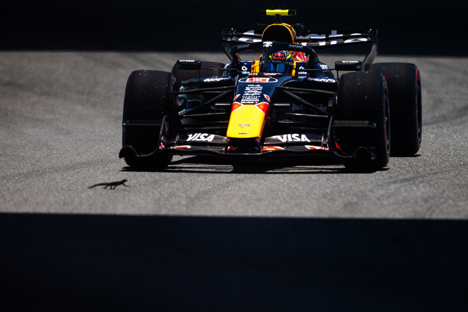 GP MIAMI, Isack Hadjar (FRA) Red Bull Racing RB22 encounters a lizard on track.
01.05.2026. Formula 1 World Championship, Rd 4, Miami Grand Prix, Miami, Florida, USA, Sprint Qualifiche Day.
- www.xpbimages.com, EMail: requests@xpbimages.com © Copyright: Price / XPB Images