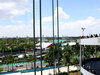 GP MIAMI
