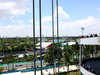 GP MIAMI