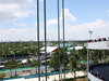 GP MIAMI
