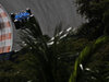 GP MIAMI