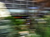 GP MONACO
