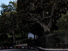 GP MONACO