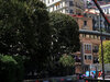 GP MONACO
