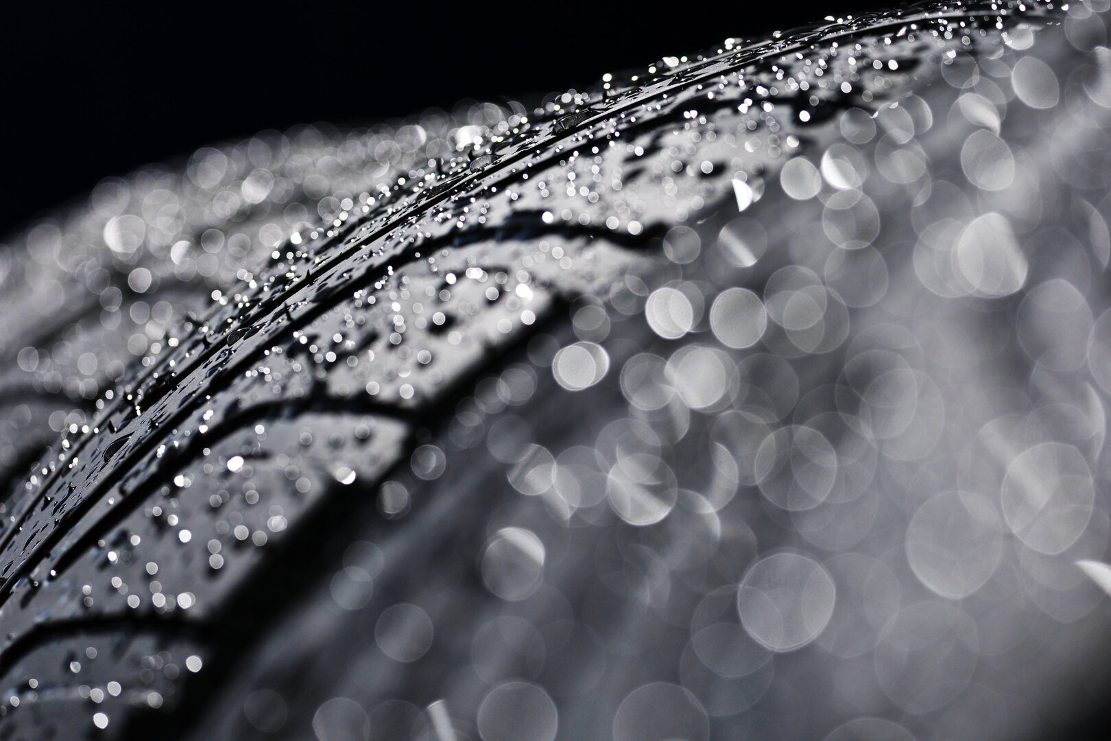 GP OLANDA, Pirelli tyres covered in rain drops.
20.08.2026. Formula 1 World Championship, Rd 12, Dutch Grand Prix, Zandvoort, Netherlands, Preparation Day.
- www.xpbimages.com, EMail: requests@xpbimages.com © Copyright: Moy / XPB Images