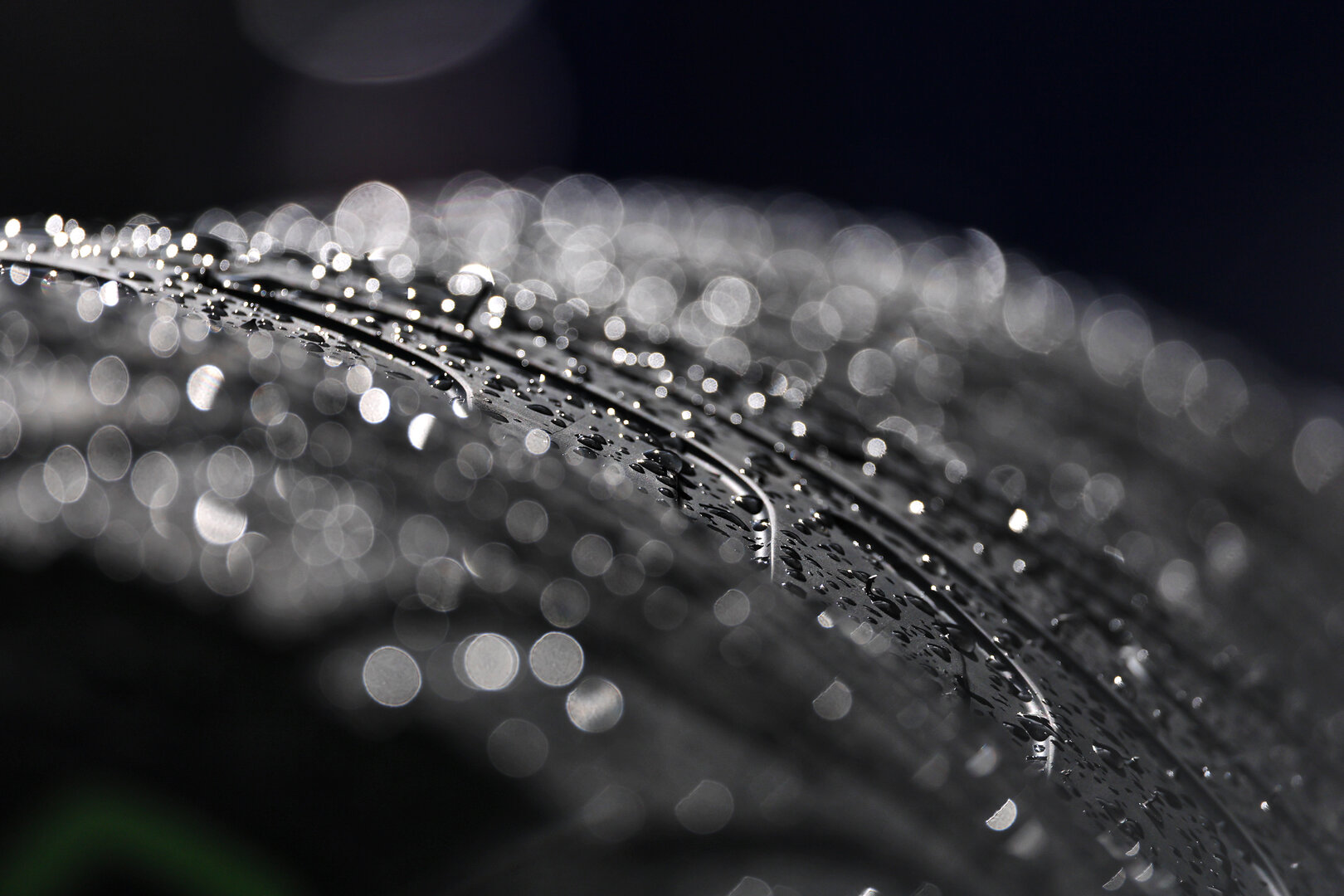 GP OLANDA, Pirelli tyres covered in rain drops.
20.08.2026. Formula 1 World Championship, Rd 12, Dutch Grand Prix, Zandvoort, Netherlands, Preparation Day.
- www.xpbimages.com, EMail: requests@xpbimages.com © Copyright: Moy / XPB Images