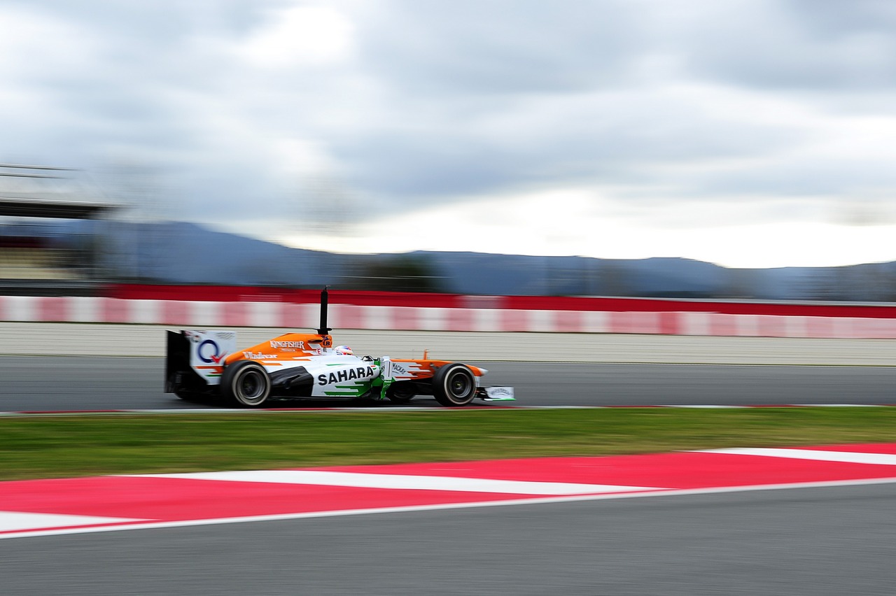Paul di Resta (GBR) Sahara Force India VJM06.
