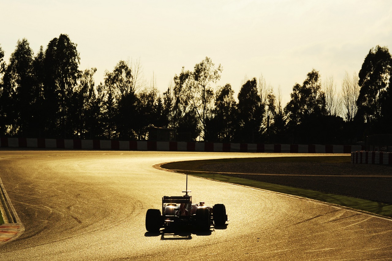 Fernando Alonso (ESP) Ferrari F138.
