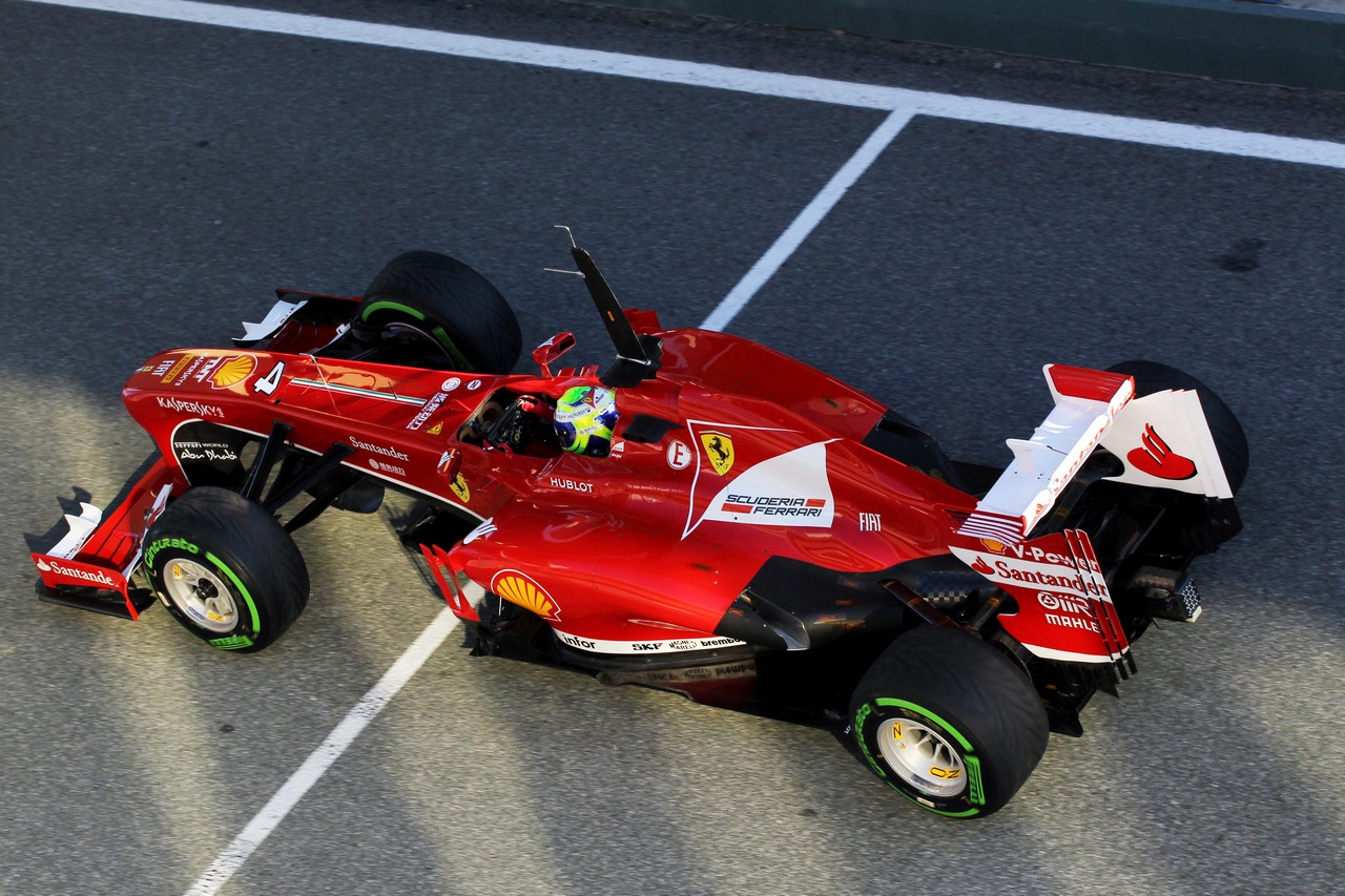 Felipe Massa (BRA) Ferrari F138.
