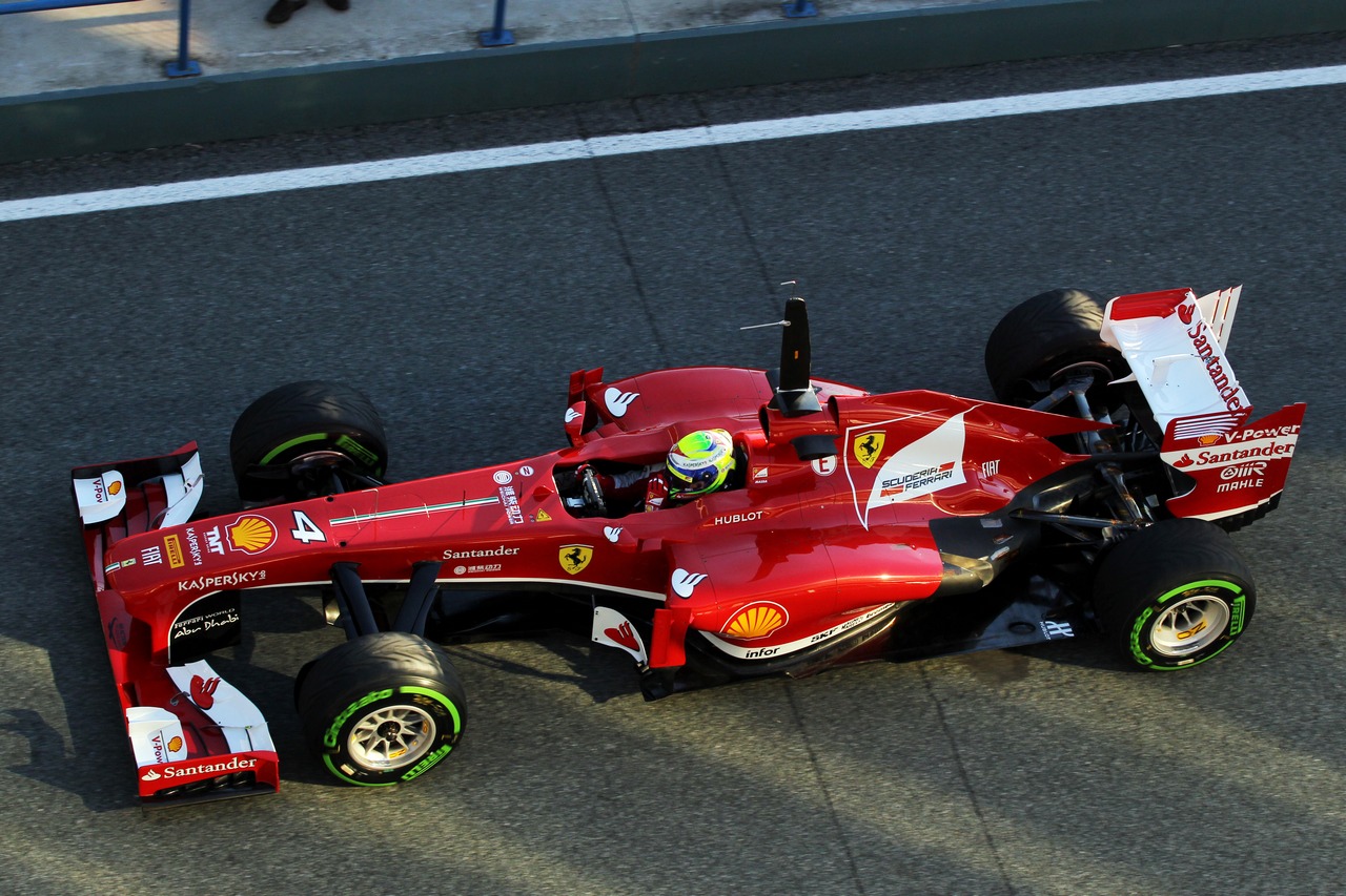 Felipe Massa (BRA) Ferrari F138.
